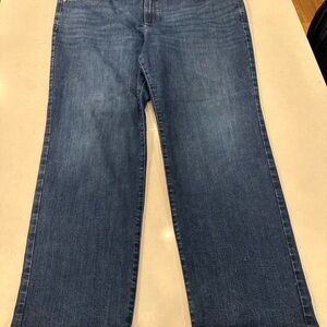 Lane Bryant Women's Straight Leg Jeans - Dark Blue